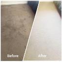 Best Reviews Carpet Cleaning & Pest Control logo